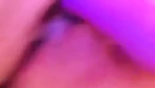 kalın KEDİ damla ıslak