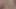 Animation Amateur Porn One