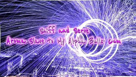 Alfa boğalarım için aroma kölesini kokla ve servis et