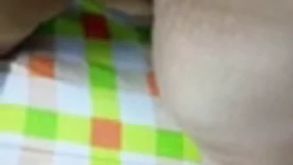 Mısır shrmota masrya tango