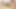 Gözlüklü iki seksi sürtük grup sekste sikiliyor