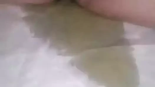 Pisa pickica u gacice