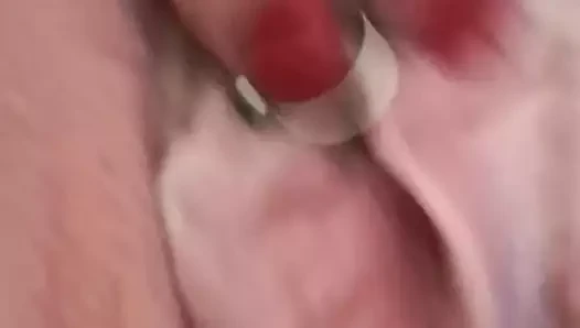 Stute zeigt die Fotze