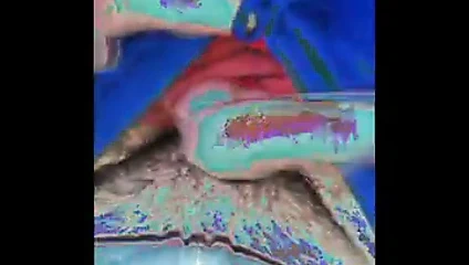 Sikimin görsel-işitsel açıklaması