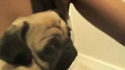 sexxy latin berbat yapay penis &amp; losyonları klitoris üzerinde cam