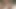 En iyi porno yıldızlarıyla baştan çıkarıcı oral seks derlemesi