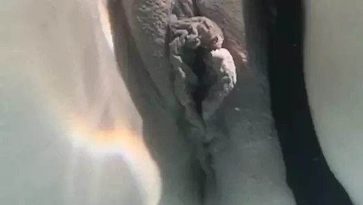 sualtı kedi at kamu havuz