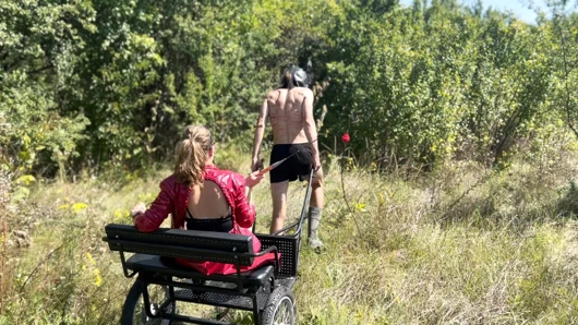 Yaralanmış midillimi dikenli çalıya sokuyorum 907