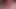 Lady j bir inci kolye alır