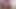 Şehvetli MILF Cheval Dildo Satıcısı Tarafından Sevişiyor