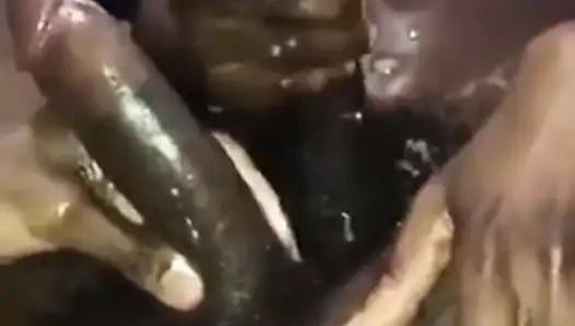 2 siyah arkadaşlar okşayarak