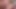 Ateşli pembe saçlı miyu rule34 3d hentai - büyük meme masajı inliyor, sıkı göt parmaklıyor ve amcık yalama fışkırtıyor