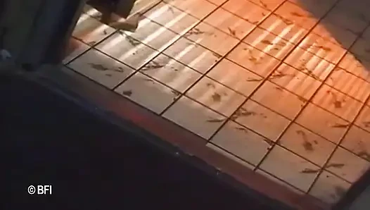 Acımasız ikna