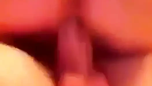 Sıkı kedi üzerinde benim büyük horoz