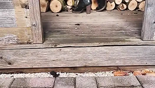 850443674285260800.mp4