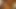 tatlı t boynuzlamak
