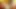 indian desi village love marriage couple sex Cute babes want to have some fun with the two black dudes