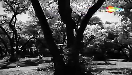 tamam yarın sabah görüşürüz