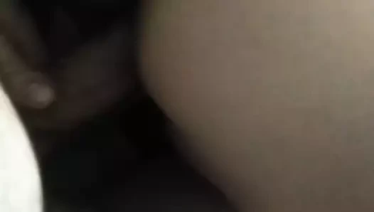 Koca kıçını salla ve gir