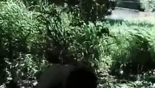 Açık eyersiz kahrolası eğlence