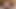 Eurobabe içinde yüksek topuklu göt becerdin tarafından bbc ve cumshot