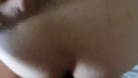 Petite levrette du soir