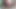 Oh god, my stepsister jerks off my cock with her natural milky tits