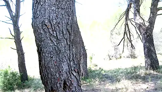 Çılgın Derleme: Asyalı Kız Öğrenci Emiyor, Ormanda Sikişiyor Ve Kar Amcık Yalıyor!