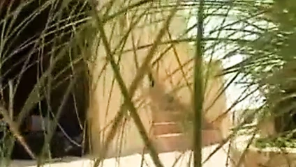 Bu horozu emmeye devam et... bmw