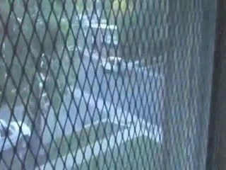 Sıcak sarışın verir harika kafa açık havada