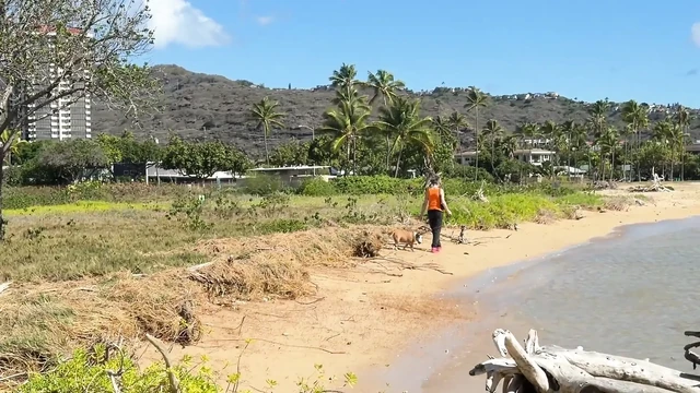 Paiko Fishpond, East Oahu, Hawaii