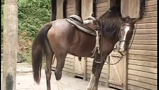 Esmer cowgirl gets bir şişman horoz için sikme sonra alma onu kedi yemiş