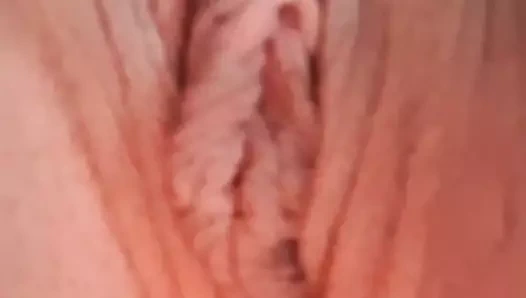 Büyük amcık dudakları