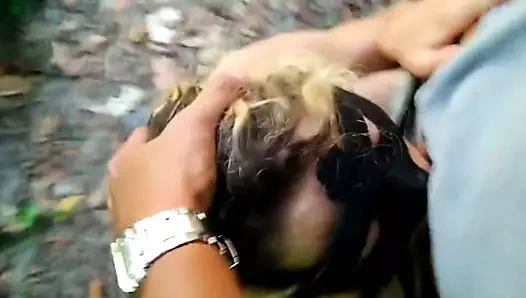 Petite levrette rapide dans les bois