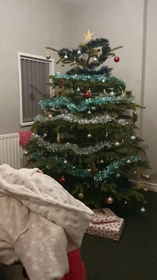 üvey kardeş hizmet vermektedir stepbro KEDİ üzerinde noel arifesi