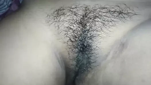 Bengali kıllı süper kedi