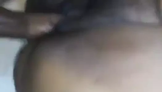 Sophie'nin bir erkek kırıcı kedisi var