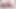 Lezbiyen bebek kedi yalama ve sürtme busty gf