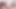 Private.com - minik ella rose eşek ve kedi 2 yarak tarafından dövülerek alır!