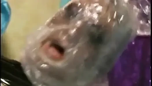 Güzel sevimli sarışın piliç yarak emiyor ve ağzına bolca beyaz krem alıyor