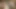 Chickpass - Audrina Raine kendini tatmin etmek için dildo kullanıyor