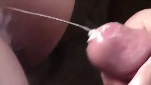 venyveras4.mp4