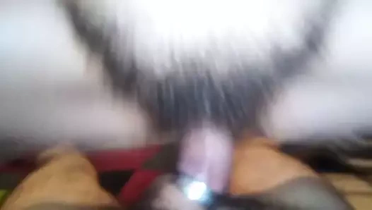 Büyük haryi çalı