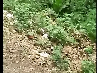 Jebacina na avali sırp-srpski tarafından krmanjonac