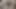 Horny asian hairy pussy close up licking