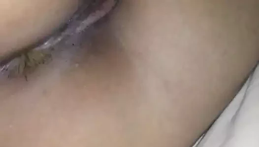 Jess, kedi ve eşek gösteriliyor