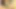 Amında mükemmel salatalıklı Afrikalı kızlar porno videosu xxx