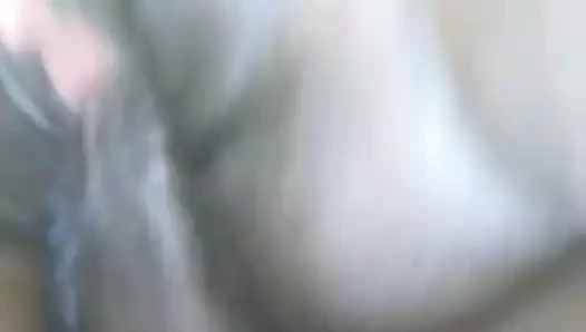 dayak onu kedi nasıl