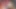 Analbbc - Bobbi Star vahşi bir çifte penetrasyonda büyük siyah için özlemini tatmin ediyor