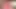 Devasa küreli harika Japon orta yaşlı seksi kadın iç sikiş sürtüğü kırbaçlıyor ve devasa sahte yarakla sikişiyor - en iyi jav!